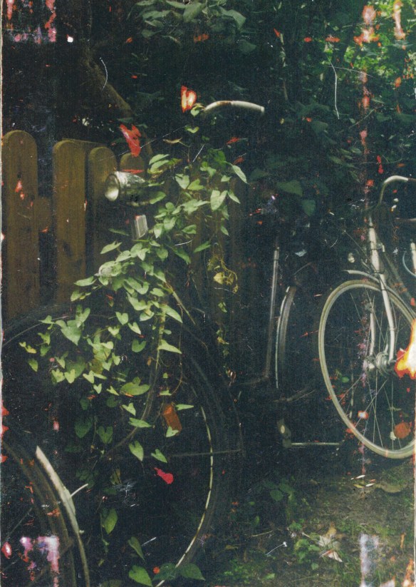 Dornröschenfahrrad